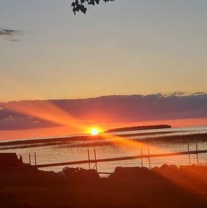 Meet your Posher, Robin